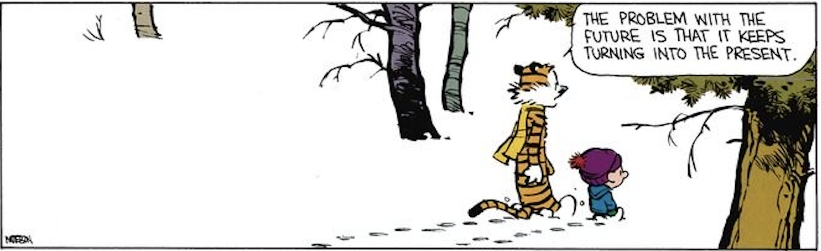 Calvin and Hobbes comic about predictions and the future